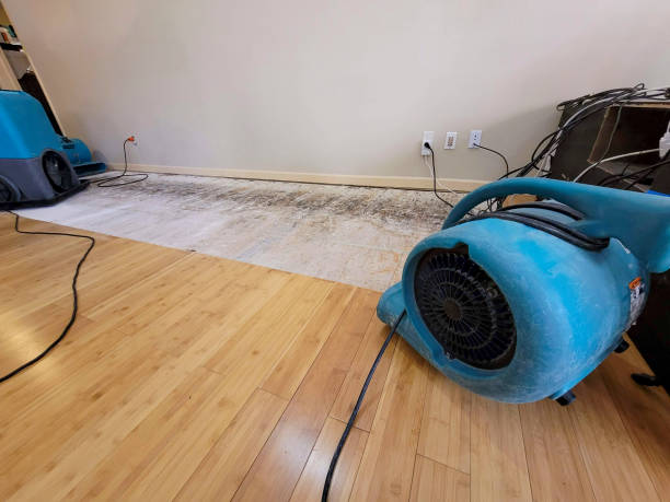 Professional Water Extraction technician working in Oakpark, VA